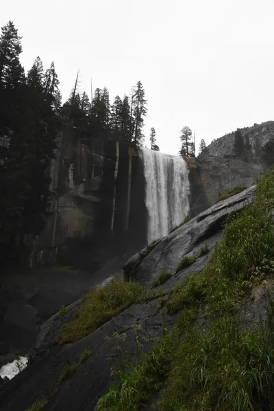 DSC_4707 (Large).JPG